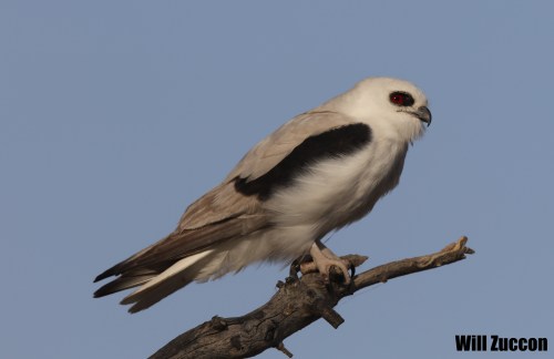 0Q7A3923 - Version 2 (2)