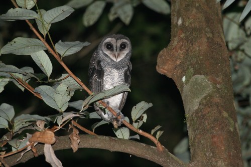 IMG_7868 - red eye removed