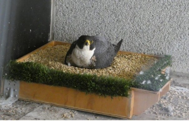 Screenshot 2022-01-30 221932